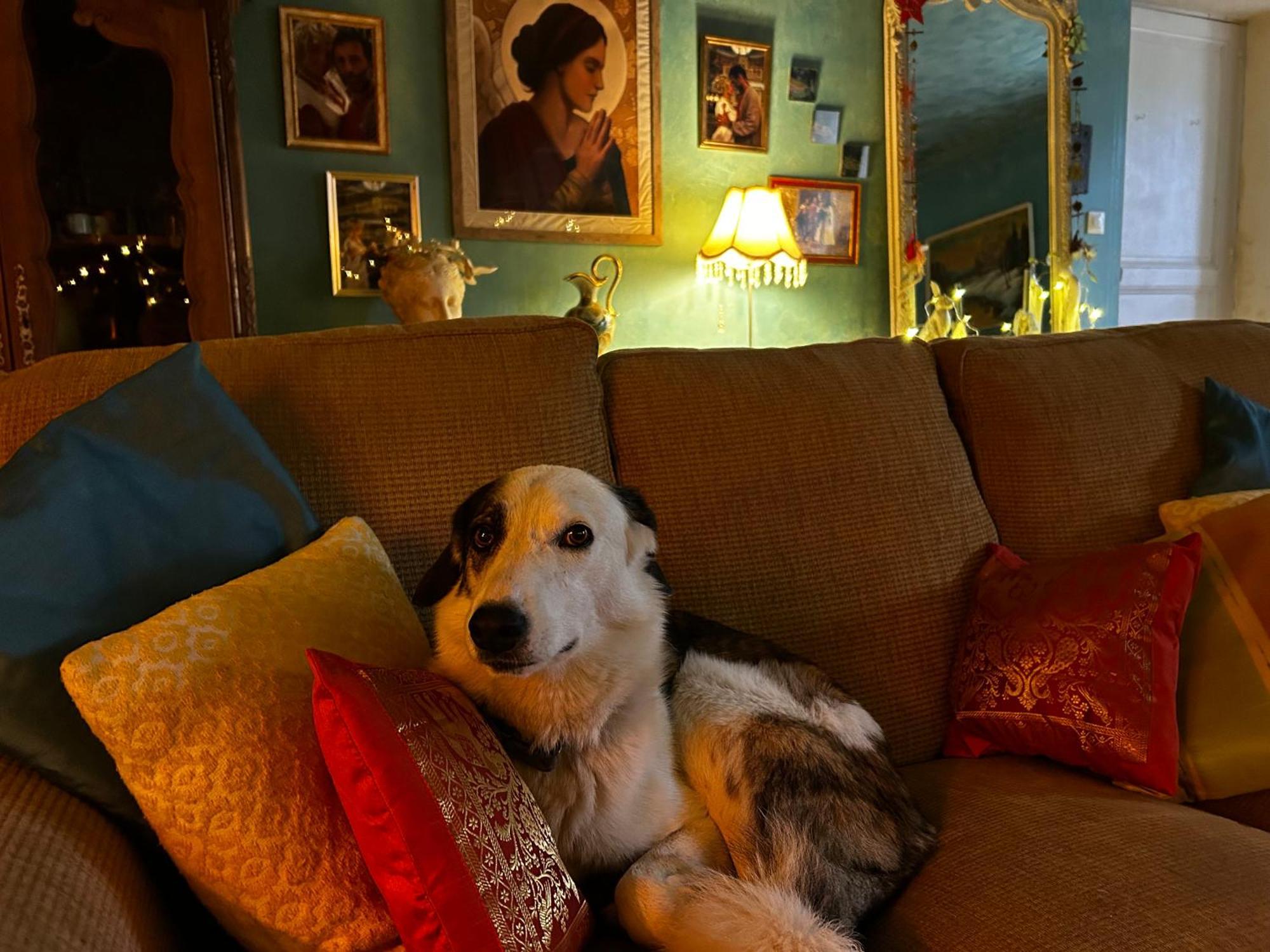 Bed and Breakfast Les Contes Fougax-et-Barrineuf Esterno foto